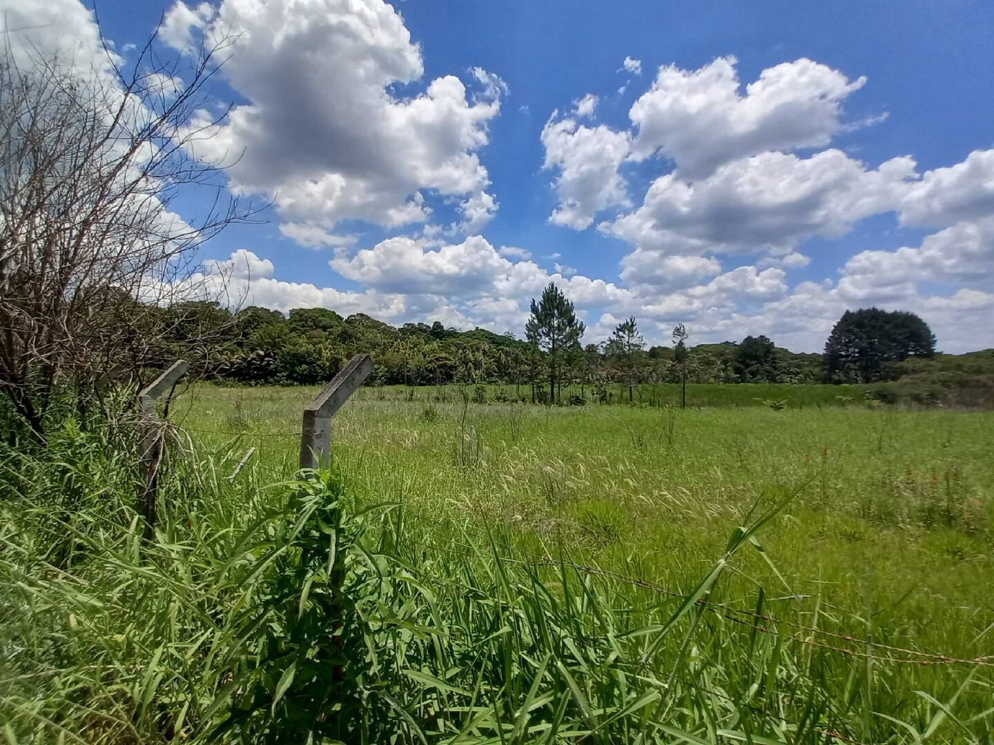 #262 - Casa para Venda em São Paulo - SP