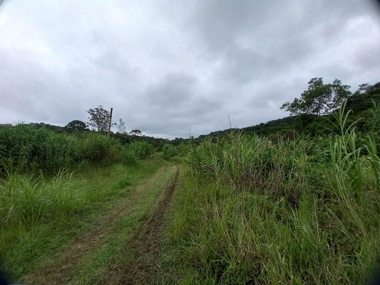 #313 - Área para Venda em São Paulo - SP