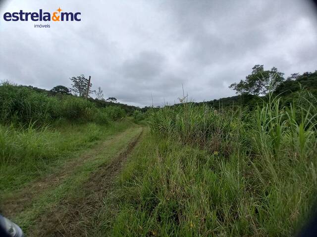 Área para Venda em São Paulo - 5
