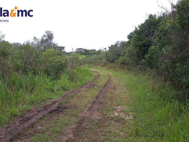 Área para Venda em São Paulo - 4