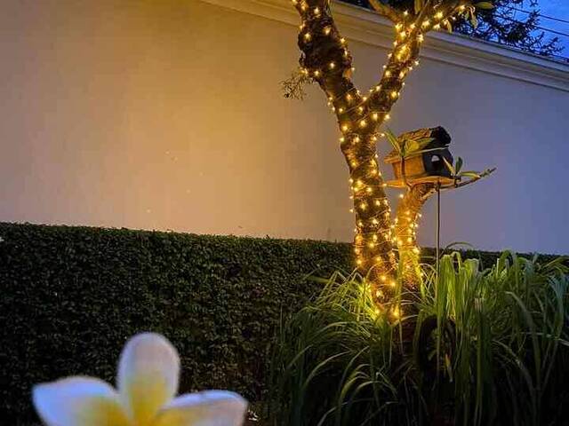 Casa para Venda em São Paulo - 4