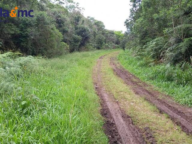 Área para Venda em São Paulo - 4