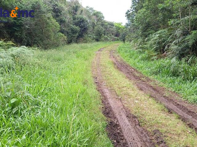 Área para Venda em São Paulo - 5